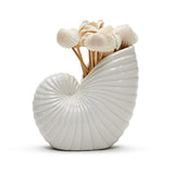 Nautilus Shell with 20 Seashell Picks in Gift Box