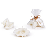 Seashell Candle (Assorted Designs)