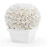 Round Boxwood Topiary