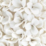 Round Boxwood Topiary