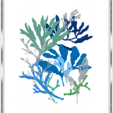 Coral Framed Art 26" x 30" (Assorted Pieces)