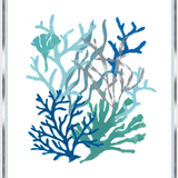 Coral Framed Art 26" x 30" (Assorted Pieces)
