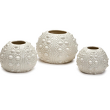 Sea Urchin Vase - Assorted Sizes