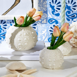 Sea Urchin Vase - Assorted Sizes